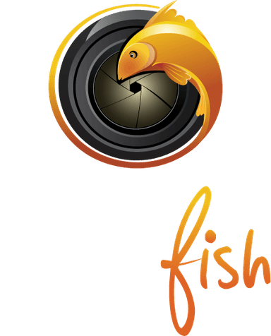 Goldfish logo